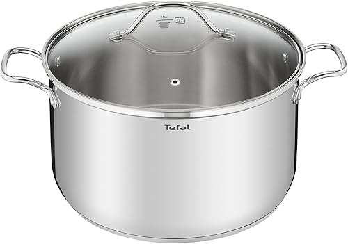 Tefal Intuition XL marmita de acero inoxidable 36 cm con tapa de vidrio
